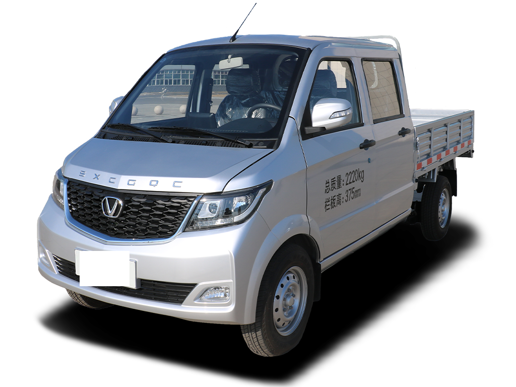 成功汽车   斑马