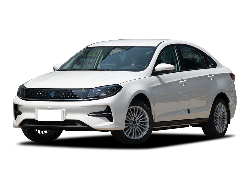 东风风行   风行S60EV