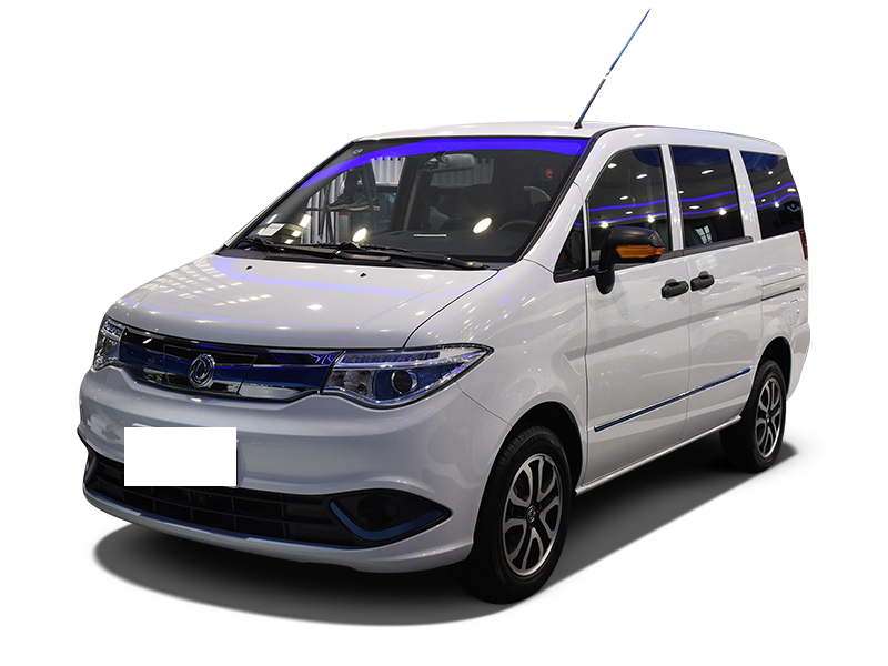 东风   帅客新能源