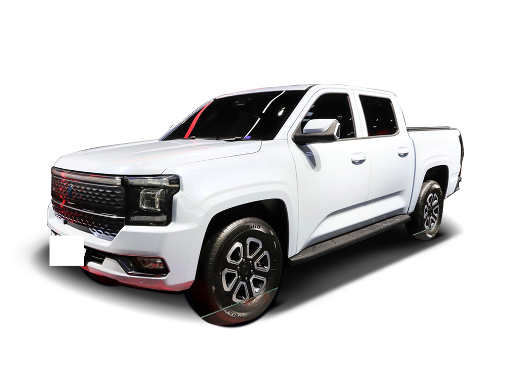 江铃   大道EV