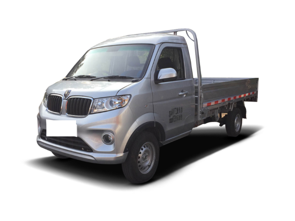 金杯   新海豚EV