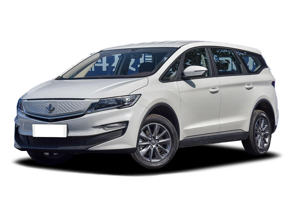 力帆汽车   力帆枫叶80v