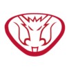 金龙礼宾