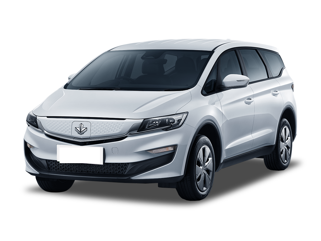 睿蓝汽车   枫叶80v L