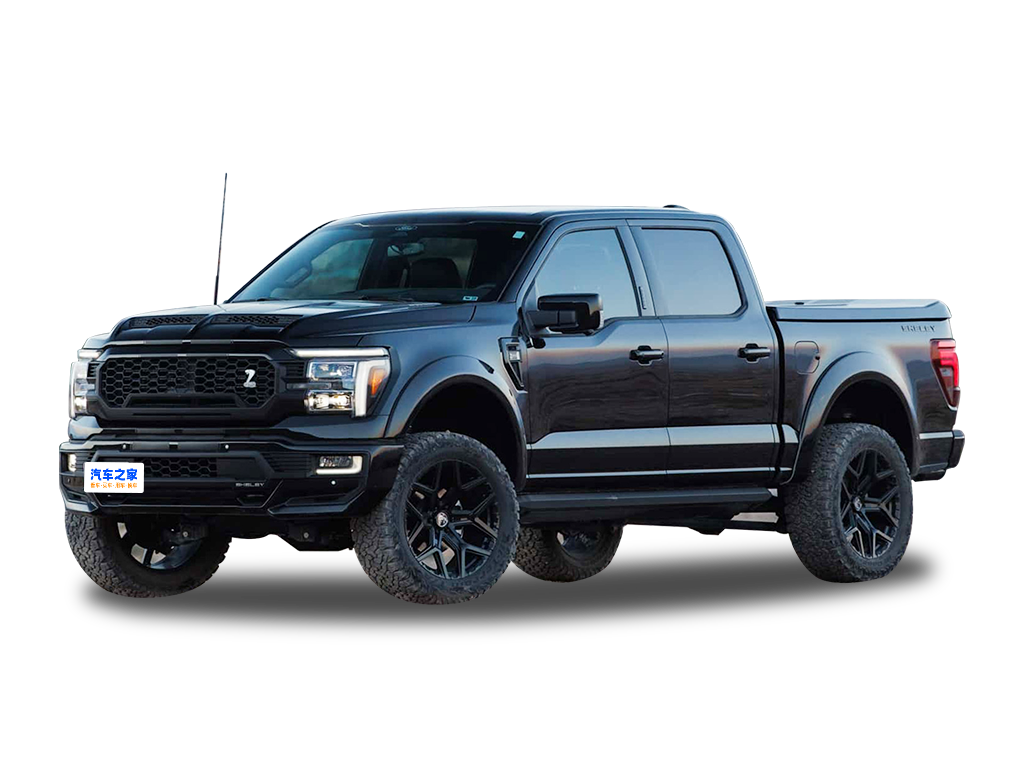 SHELBY   SHELBY F-150