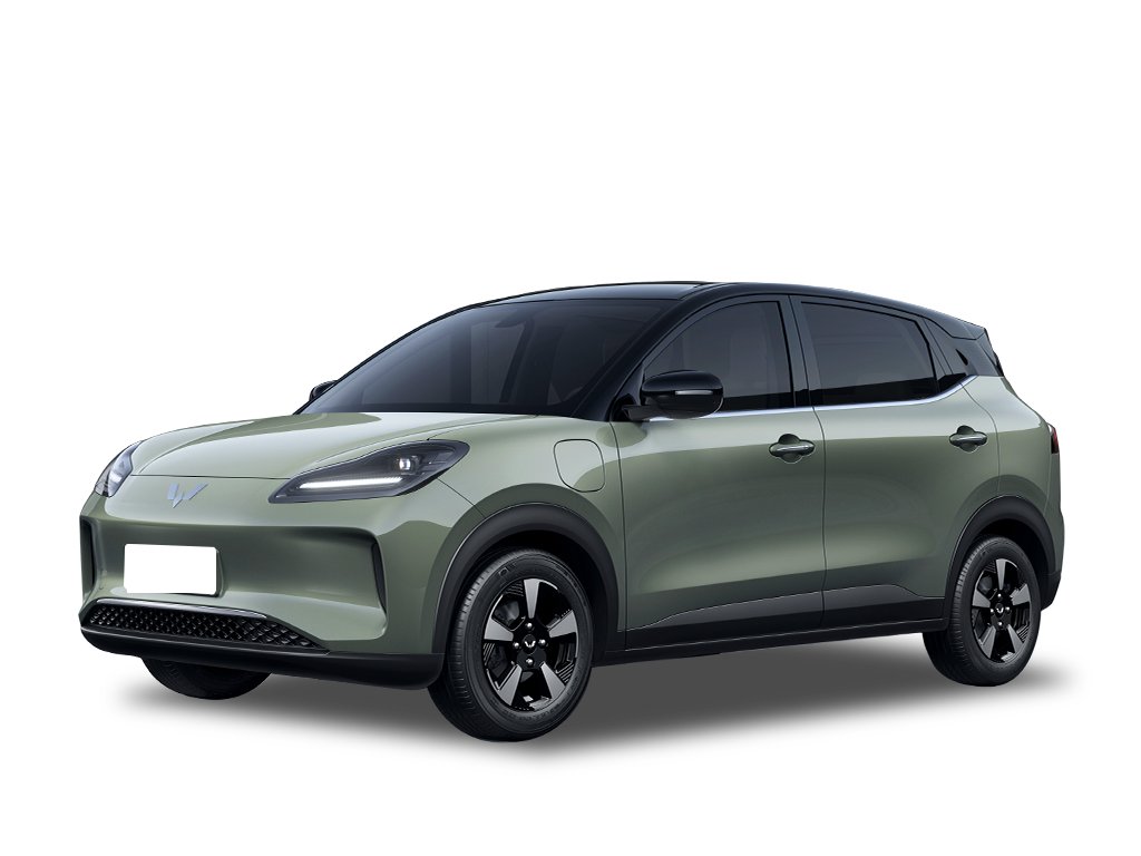 五菱汽车   五菱缤果PLUS