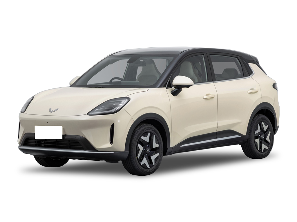 五菱汽车   五菱缤果S
