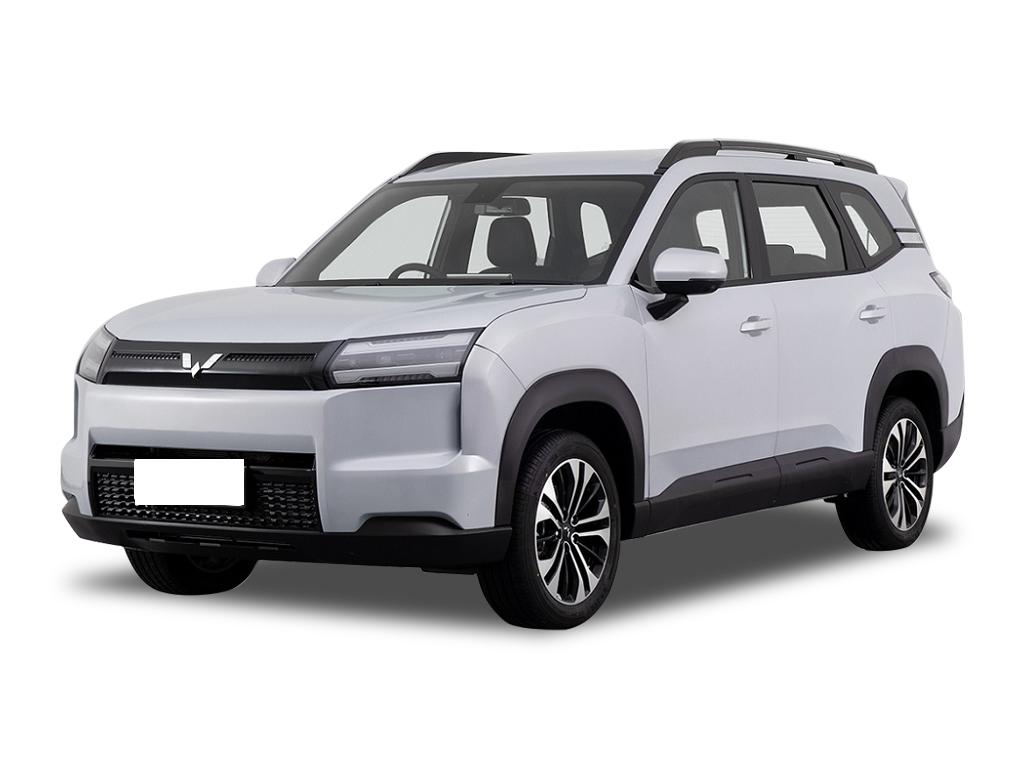 五菱汽车   星光560新能源