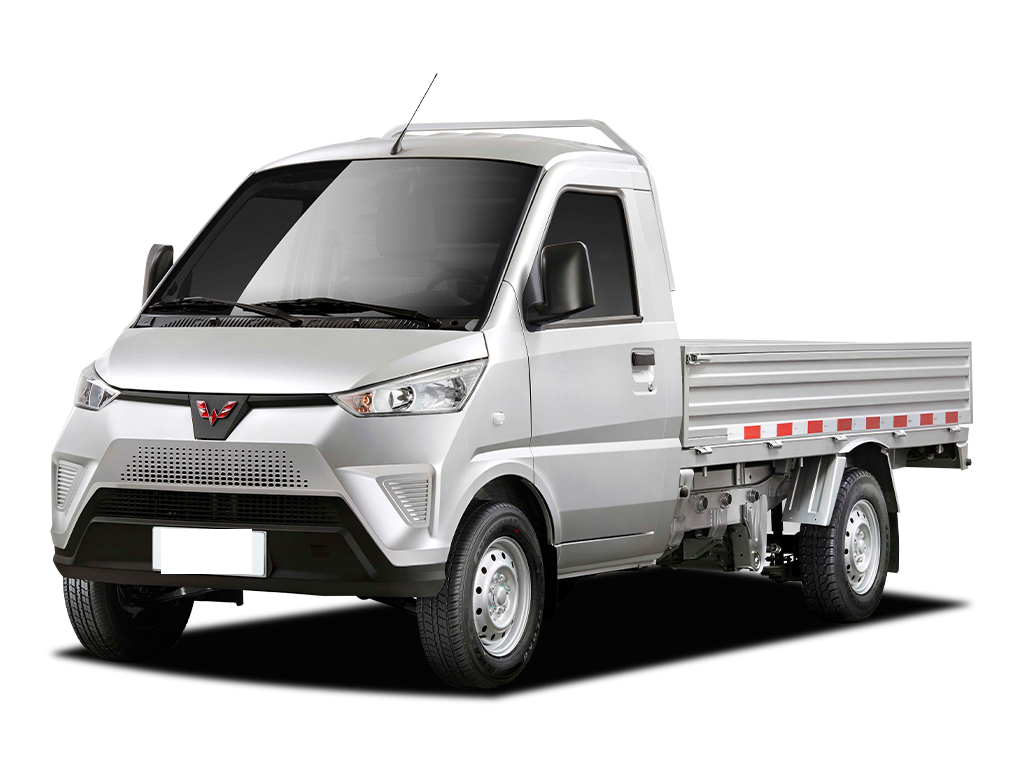 五菱汽车   五菱电卡