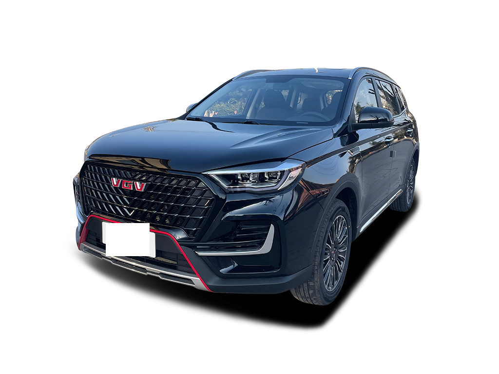 中国重汽VGV   VGV U75