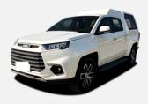 域虎9多功能车