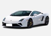 Gallardo