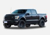 SHELBY F-150
