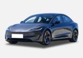 Model 3(进口)