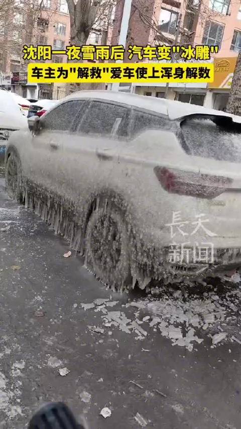 一夜雨雪后沈阳惊现冰糖汽车：汽车外面一层冰壳